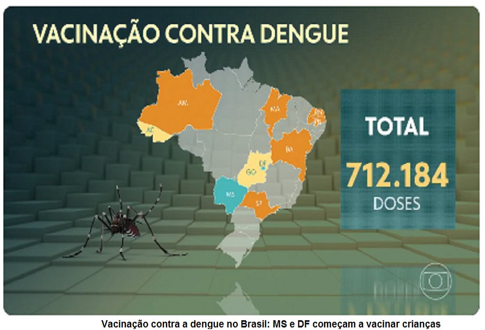 Dengue: Brasil registra mais de 500 mil casos em 2024; veja mapa com ranking dos estados