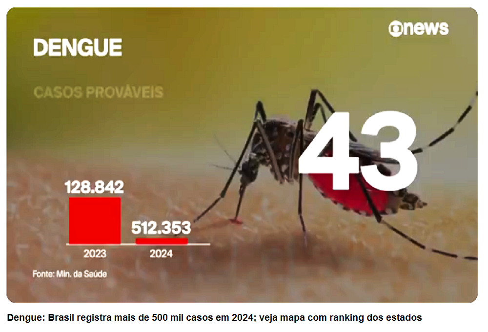 Dengue: Brasil registra mais de 500 mil casos em 2024; veja mapa com ranking dos estados